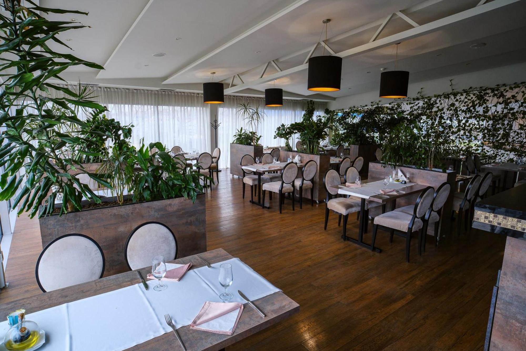 Crystal Light 4* Ni